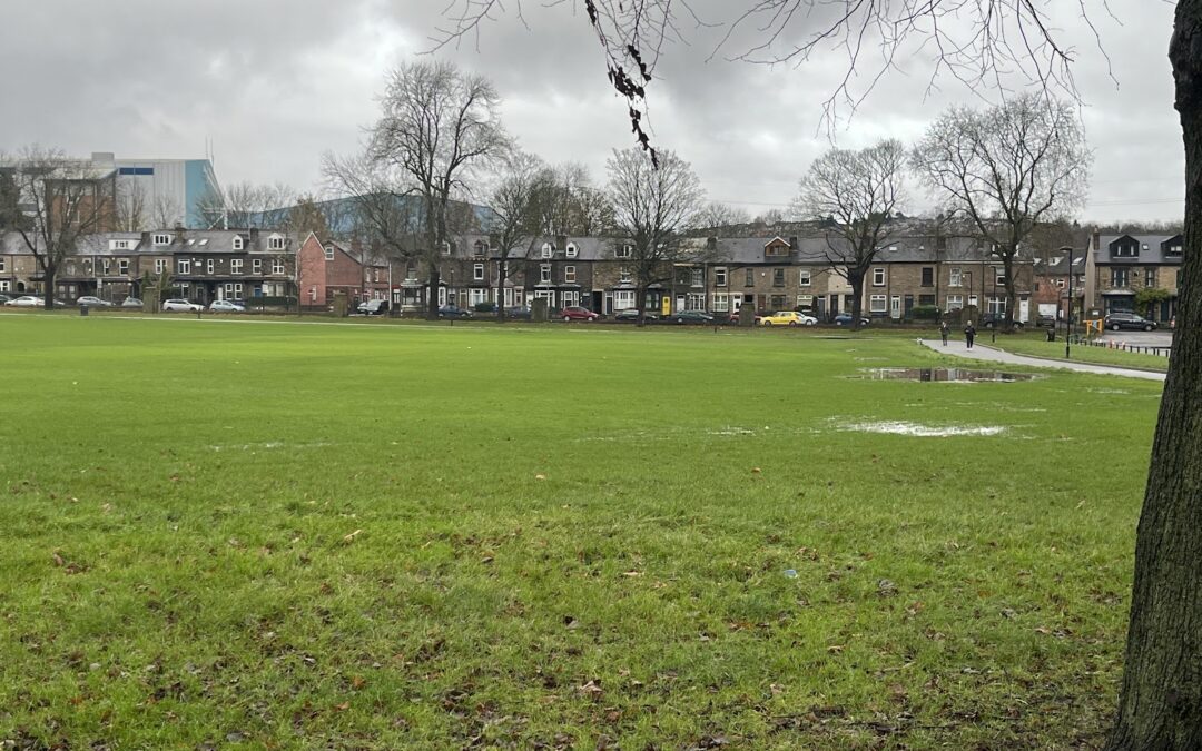 Controversy over plans for Hillsborough Park sports facilities