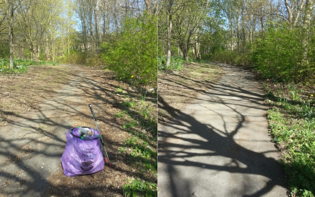 Sheffield litter picking group take to streets to make ‘city cleaner’