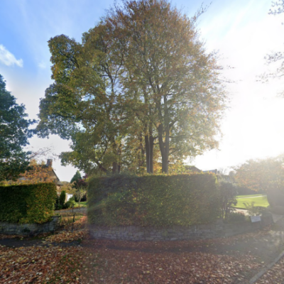 Trees get protection order despite objections at house in Crosspool