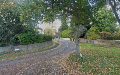 Trees next to Ranmoor conservation area given legal protection after they were threatened with felling