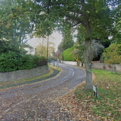 Trees next to Ranmoor conservation area given legal protection after they were threatened with felling