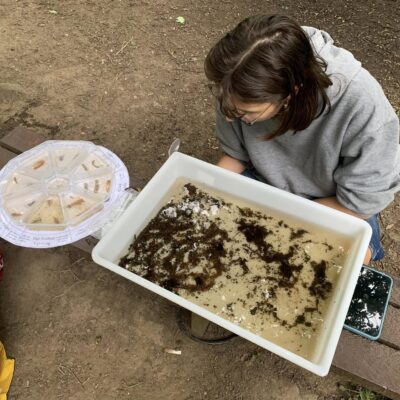 How dog flea powder and litter are threatening wildlife in Sheffield’s rivers
