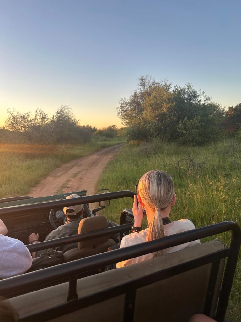 Back of blonde womans head in safari vehicle looking out onto the south african wildlife. Sun is setting. Back of mans head driving the car