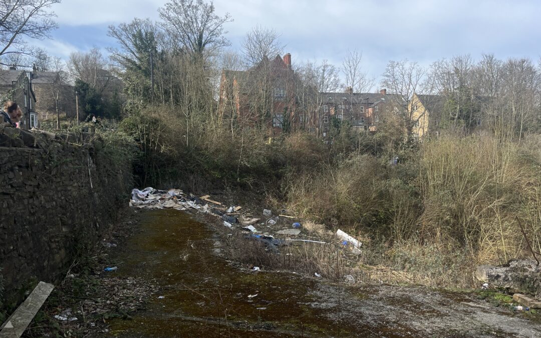 Fly-tipping continues to blight Sheffield