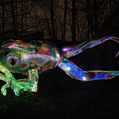 Sharrow Lantern Carnival sees another year of success