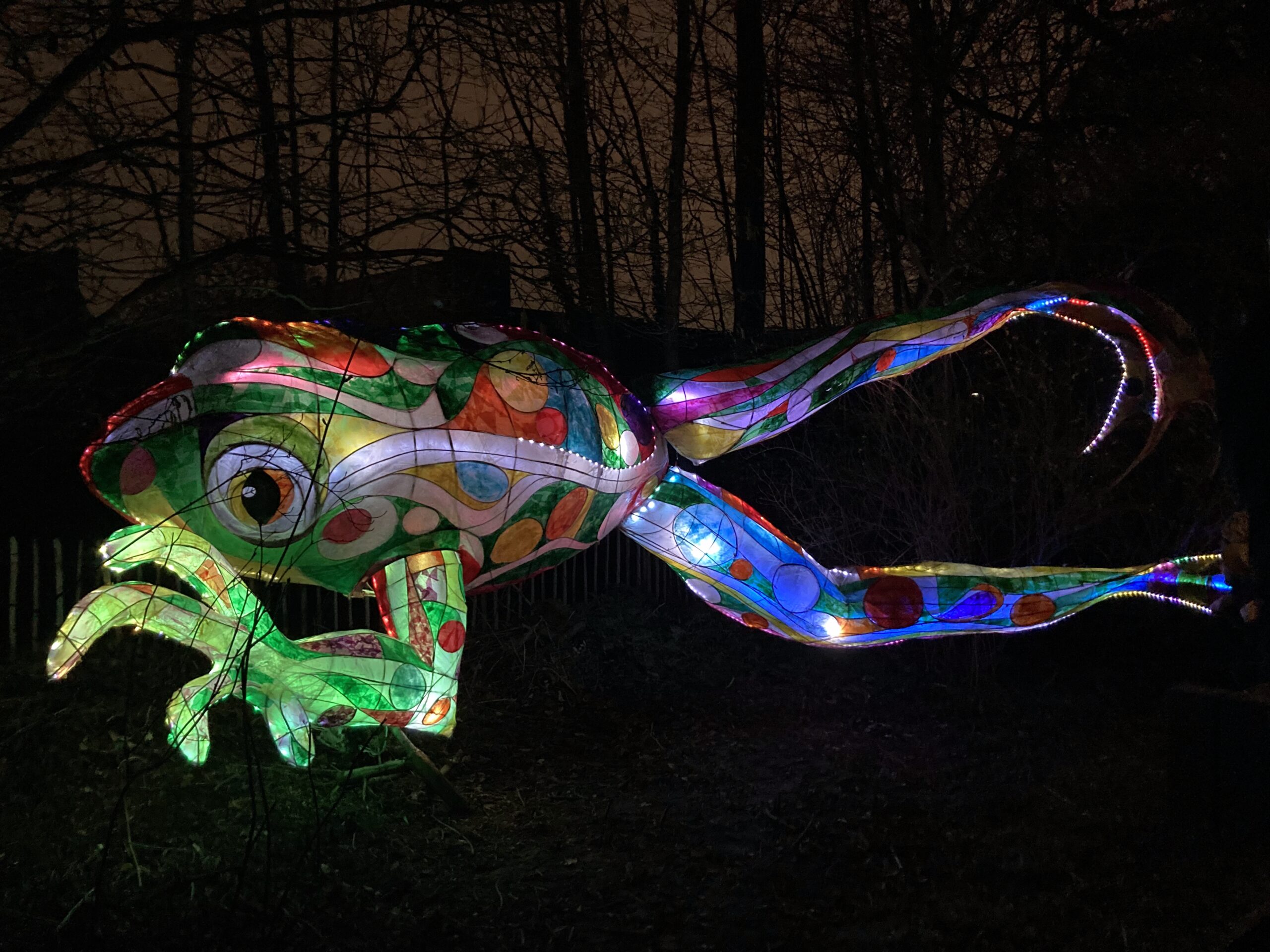 A picture of a chameleon lantern at Sharrow Lantern Carnival