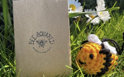 Wildflower project to support bumblebees in Sheffield returns