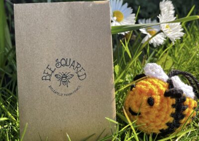 Wildflower project to support bumblebees in Sheffield returns