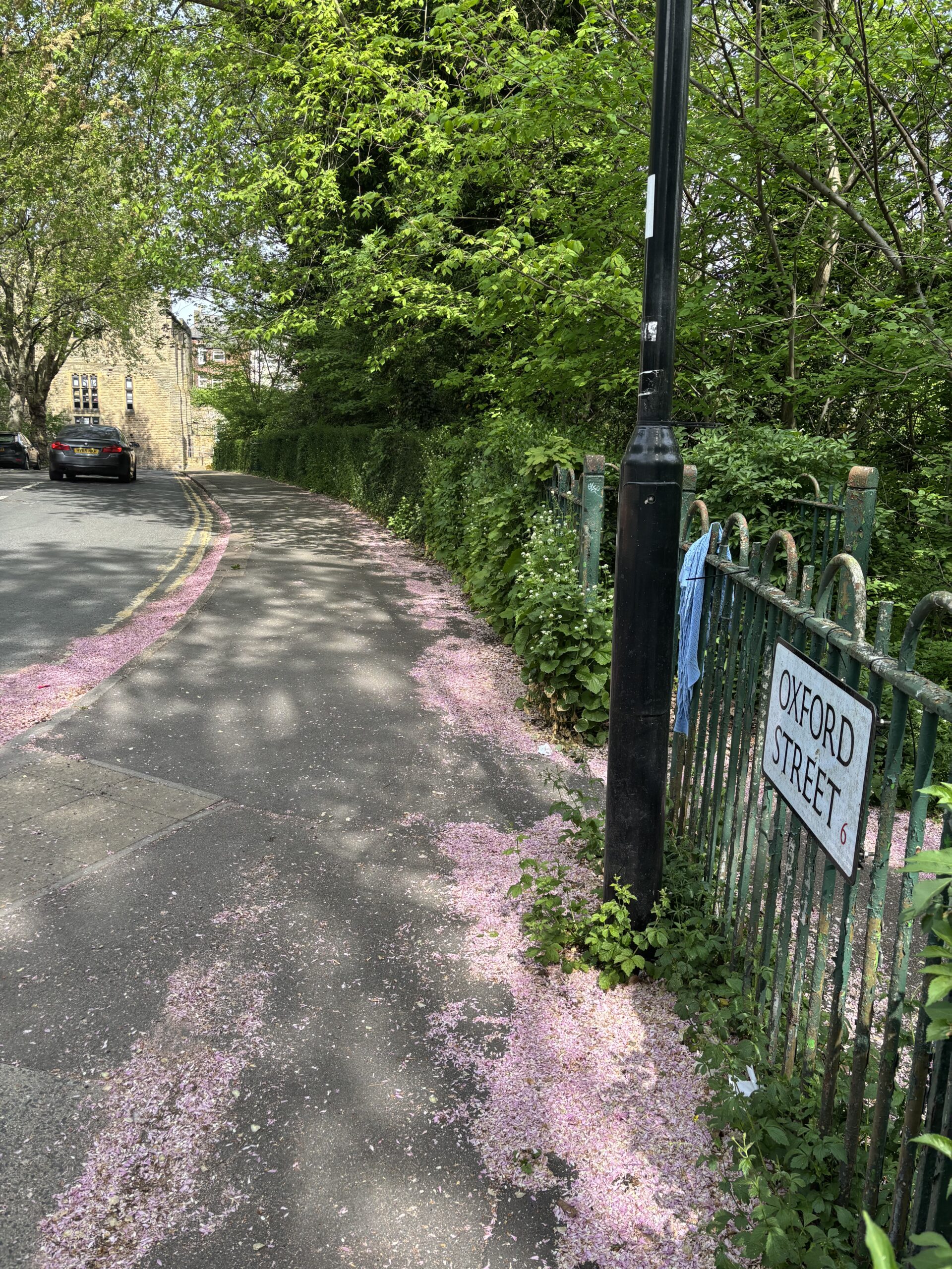 A picture of Oxford Street in Sheffield