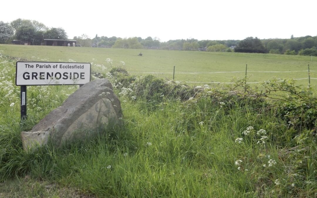 Sheffield MP speaks out against thousands of homes approved by councillors