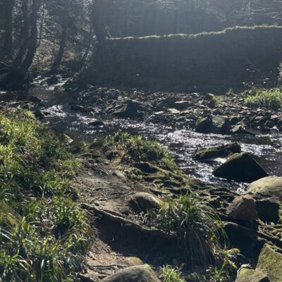 Student-run swim and hike club to open in June in support of SANE
