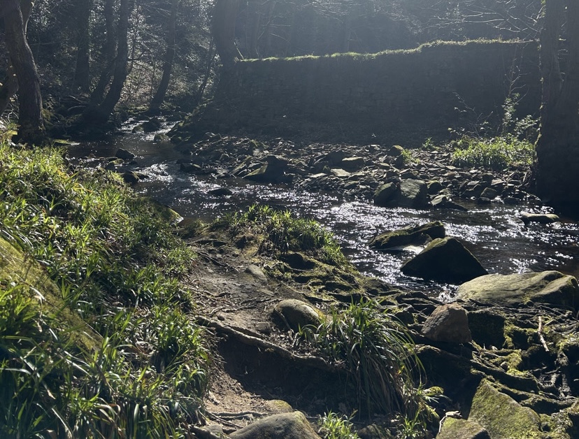 Student-run swim and hike club to open in June in support of SANE