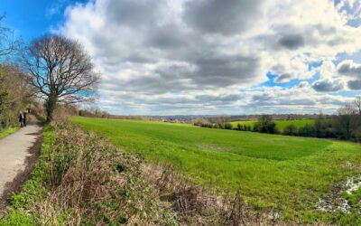 Petition to stop building on greenfield sites in the East of Sheffield reaches 4,000 signatures