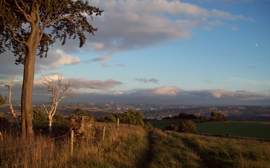 Council to build on greenfield sites despite public objection 