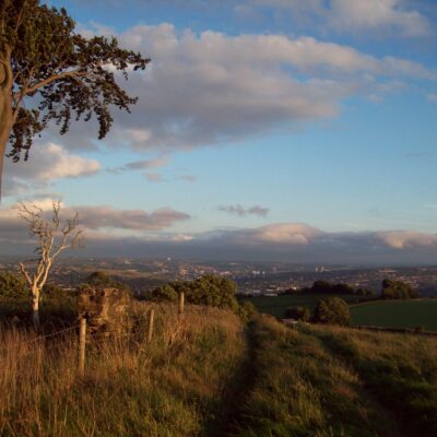 Council to build on greenfield sites despite public objection 