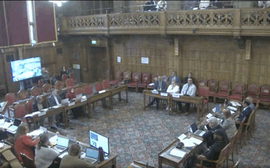 Updated Proposal for Students Travel Support Approved by Sheffield City Council