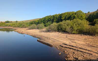 Sheffield experiences driest spring for 90 years – increasing threat of hosepipe ban