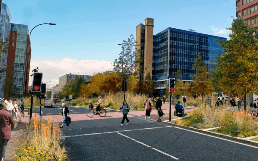 Safety concerns raised over recent transport network scheme in Sheffield