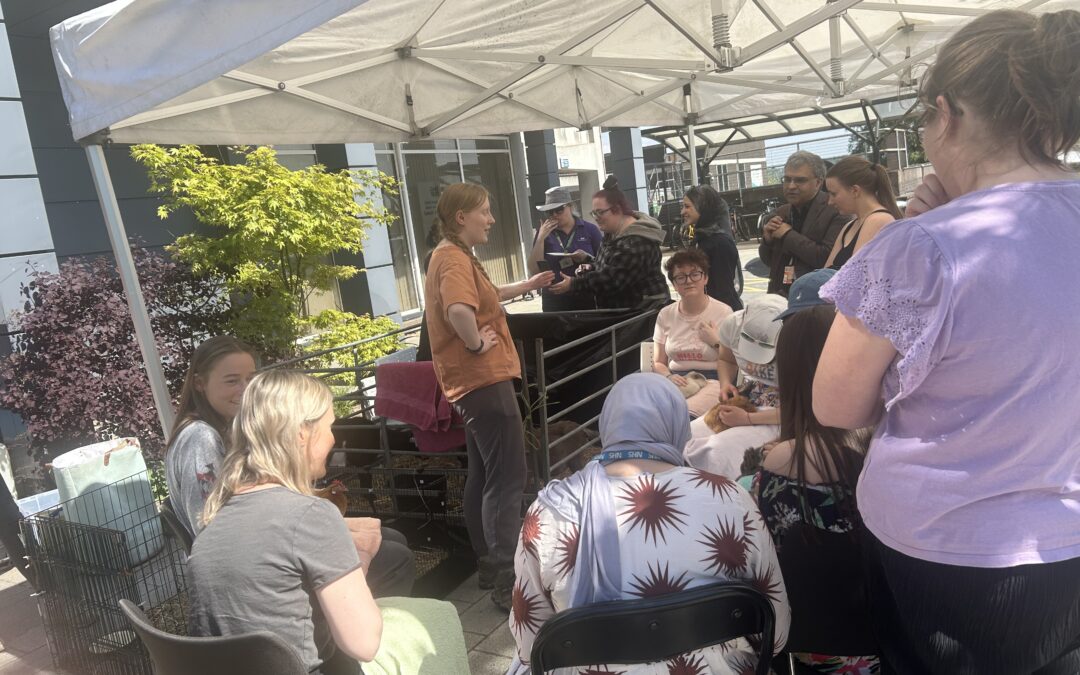 Heeley Park Farm animals visit University of Sheffield medical students