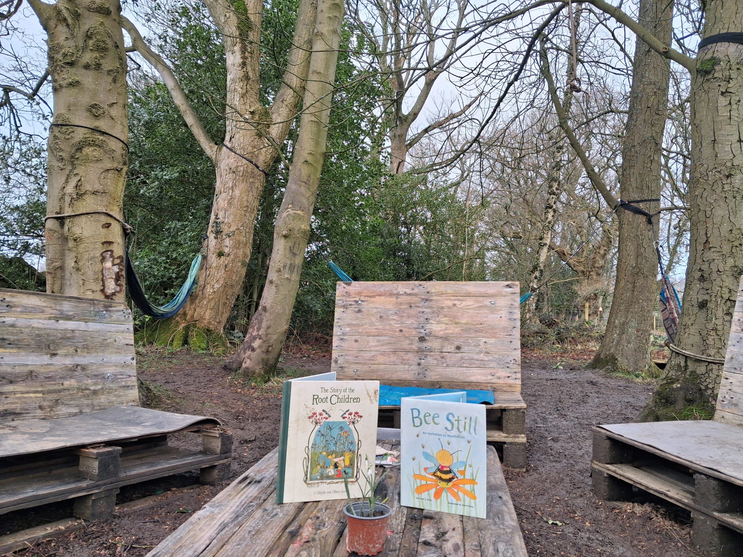 An image of the forest school, including benches and childrens books before it was vandalised.