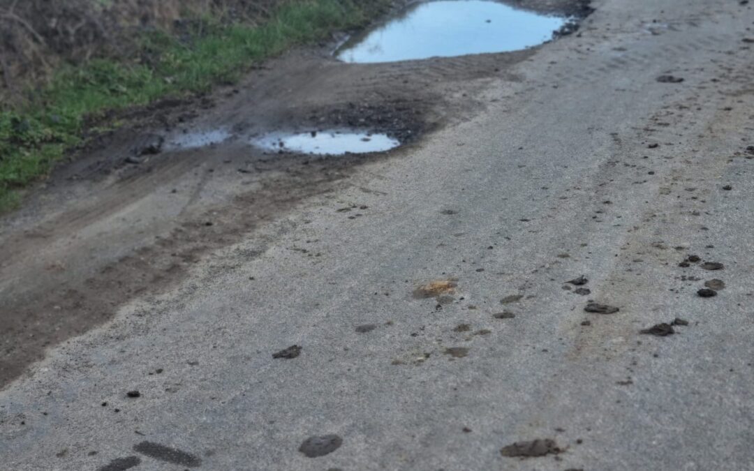 ‘Relentless’ potholes causing chaos to South Yorkshire drivers