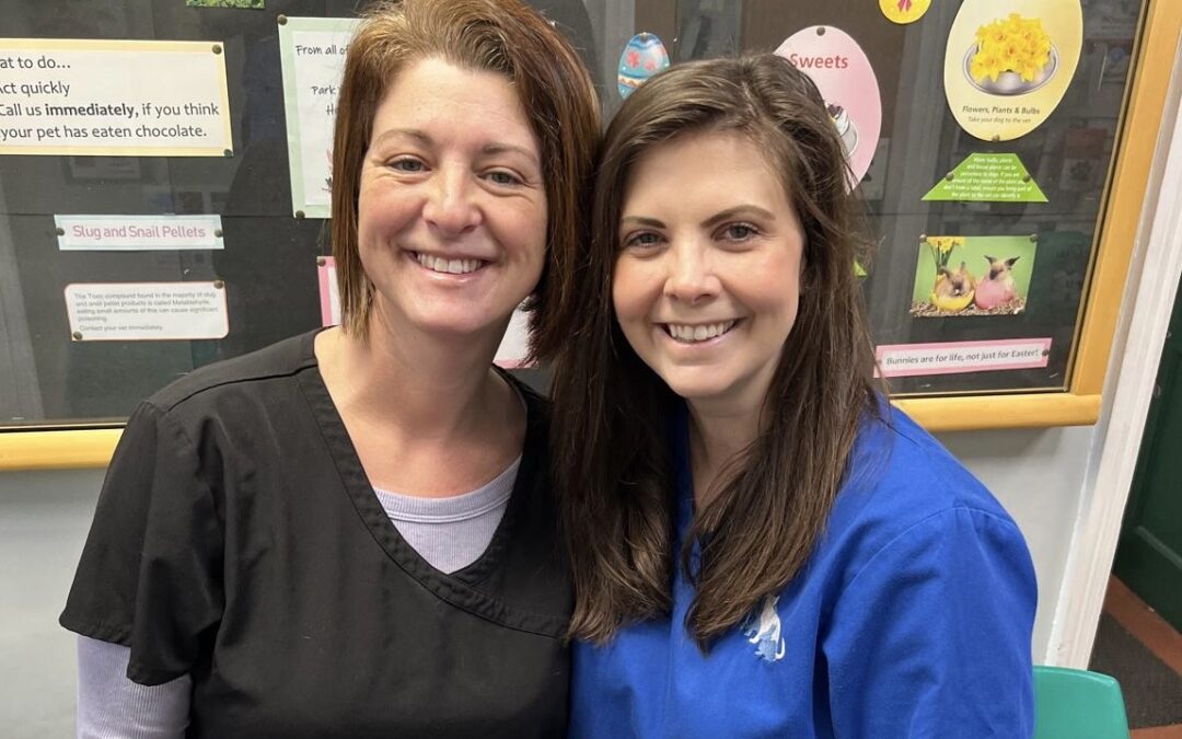 Millhouses vet staff to run Sheffield Half Marathon to raise money for charity