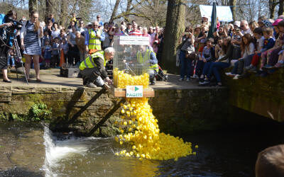 Sheffield going quackers for infamous duck race to boost cash for playground