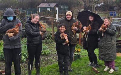 Kim Kardashi-Hen? Chick Jagger? Hen-drick Lamar? Can You Name The Feathery Friends Bringing Joy To Sheffield SEND Community?