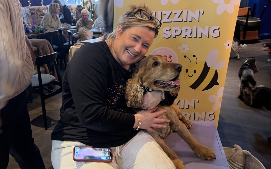 Dragon’s Den success brings Spaniels from across Sheffield to pub meet-up