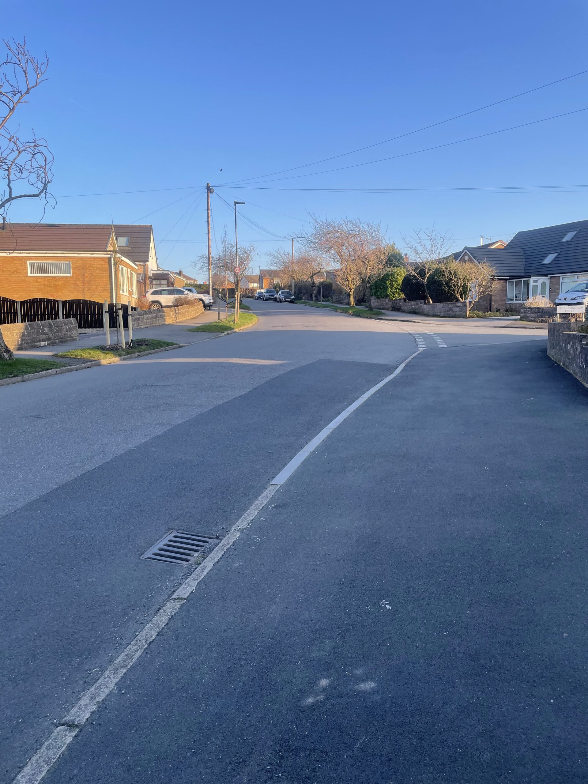 residential area in lodge moor road
