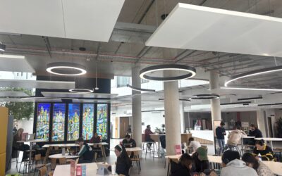 Should all university students be offered meningitis vaccines in Sheffield?