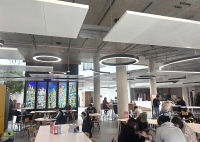 Should all university students be offered meningitis vaccines in Sheffield?