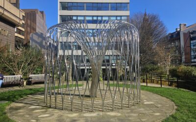 Sheffield to hold memorial event for national Covid-19 Day of Reflection