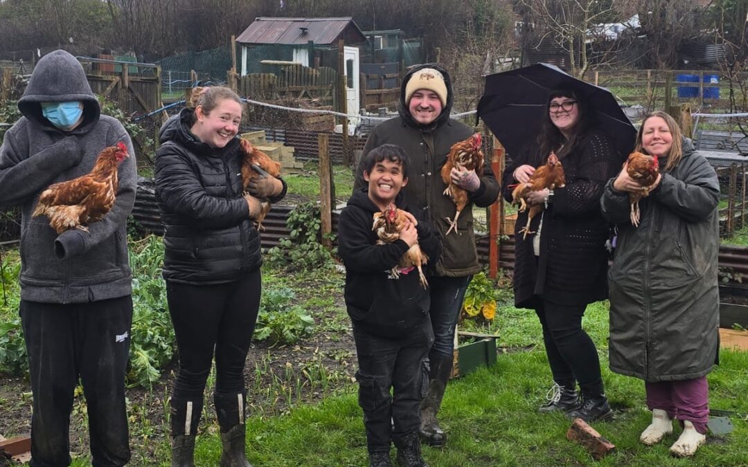 WATCH: New flock of chickens become the heart of SEND project in Sheffield
