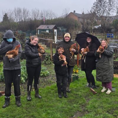 WATCH: New flock of chickens become the heart of SEND project in Sheffield
