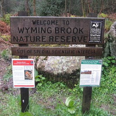 Meet the charity fighting for nature’s survival in a former steel-making region 