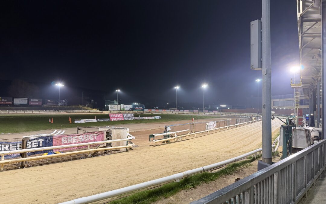 Greyhound racing decline questioned as Sheffield track attracts new audience