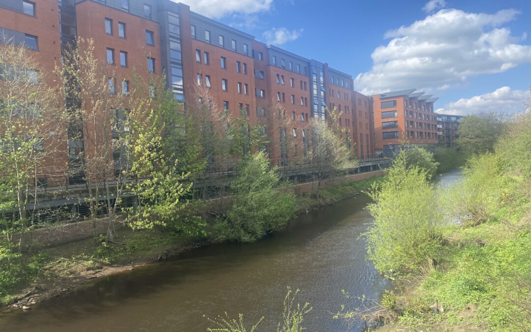 Fire Risk to Riverside Apartments Condemned by Councillor