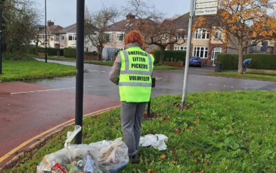 Drug paraphernalia and dead animals among horrors found by Sheffield Litter Pickers