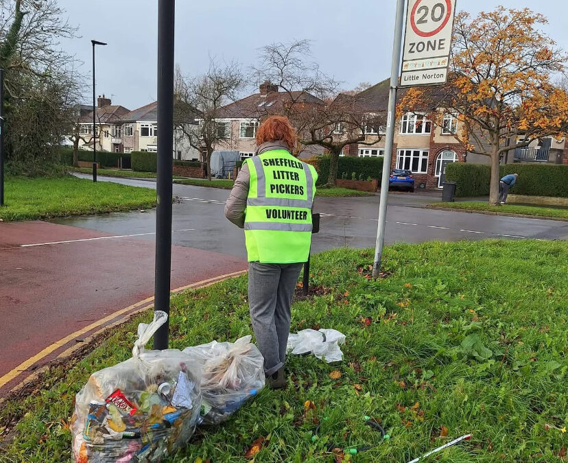 Drug paraphernalia and dead animals among horrors found by Sheffield Litter Pickers