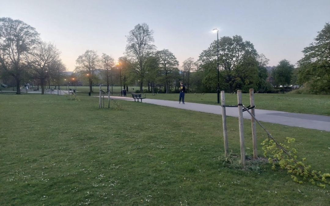 Tramline festival trees destroyed by local vandals