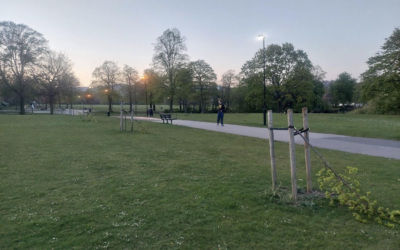 Tramline festival trees destroyed by local vandals