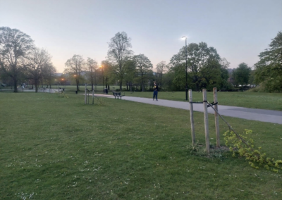Tramline festival trees destroyed by local vandals