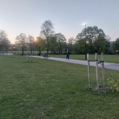 Tramline festival trees destroyed by local vandals